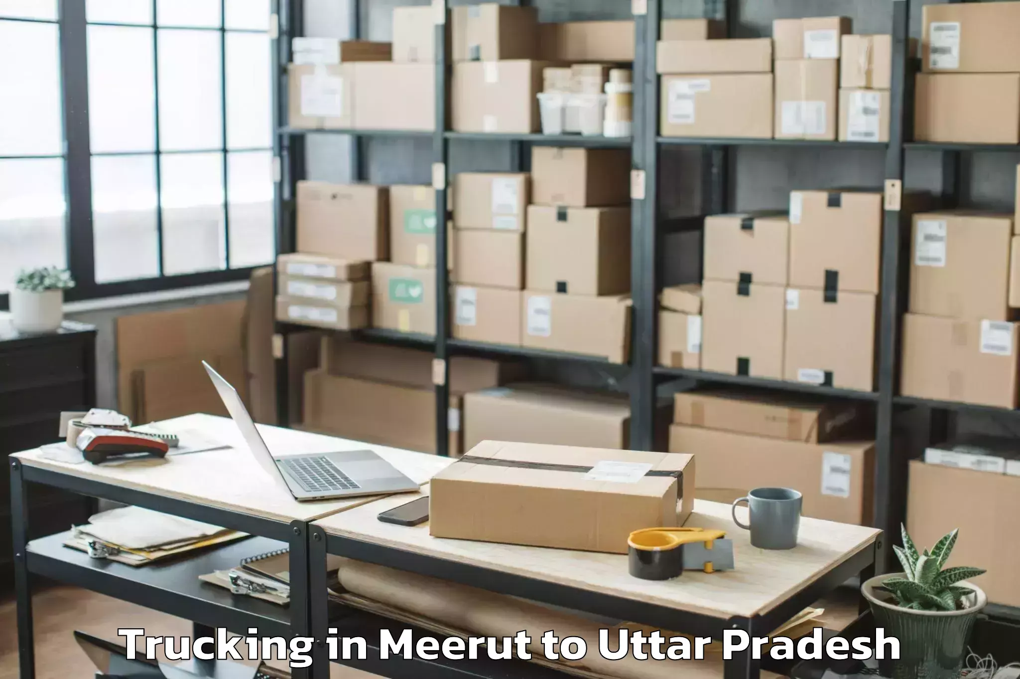 Meerut to Unnao Trucking Booking